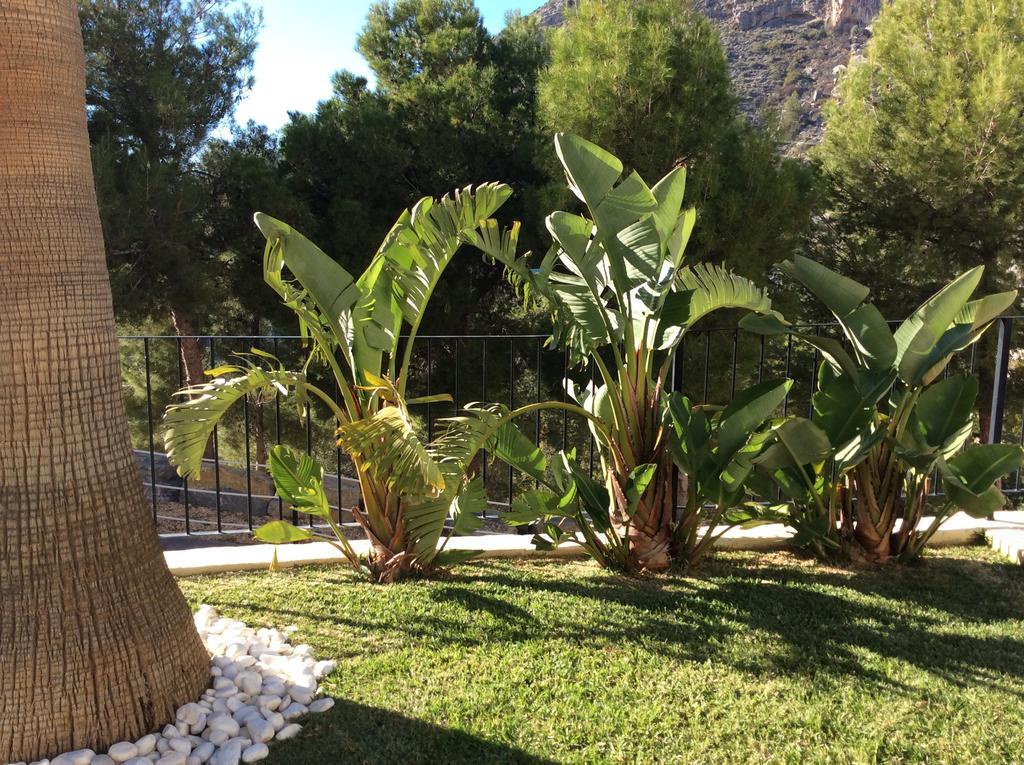 Olivos Holiday Home ألتيا الغرفة الصورة