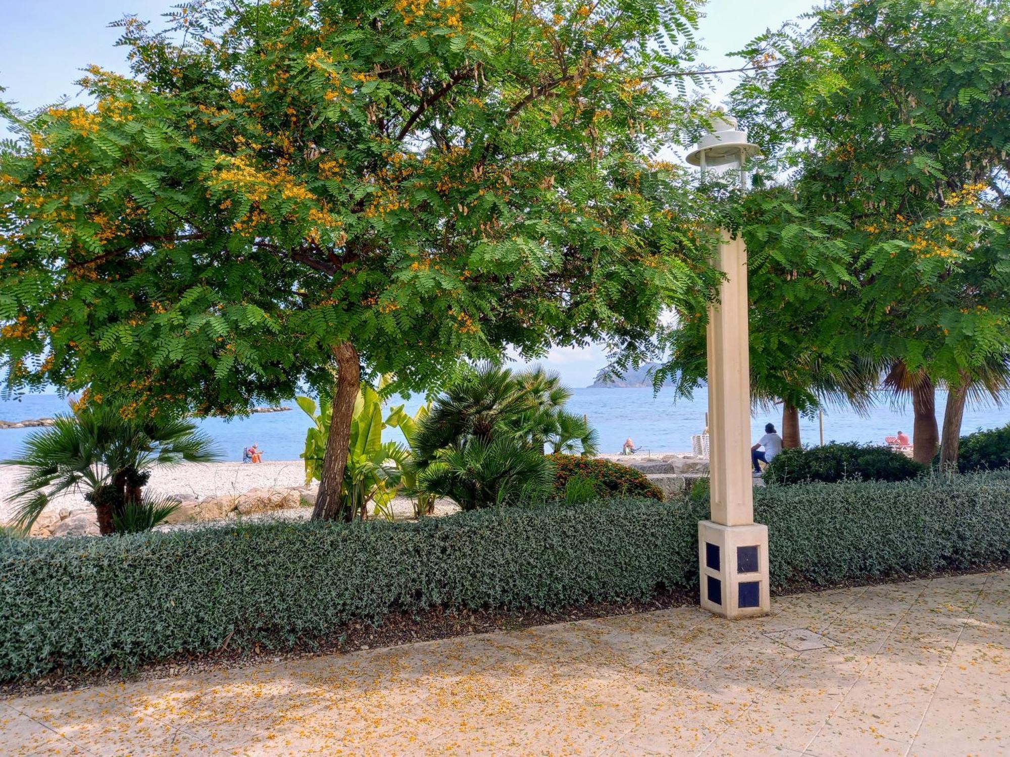 Olivos Holiday Home ألتيا المظهر الخارجي الصورة